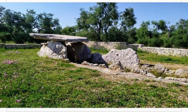 Amaste In Puglia Casa Vacanza Bisceglie Luaran gambar